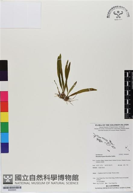 登錄號:BS06845藏品圖，第1張