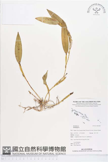 登錄號:BS01845藏品圖，第1張