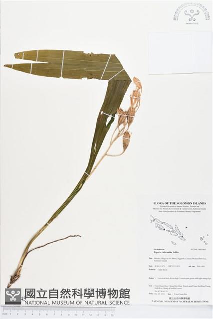 登錄號:BS03845藏品圖，第1張