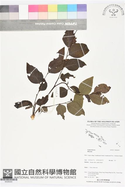 登錄號:BS06045藏品圖，第1張