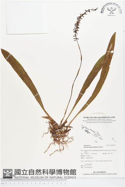 登錄號:BS02045藏品圖，第1張