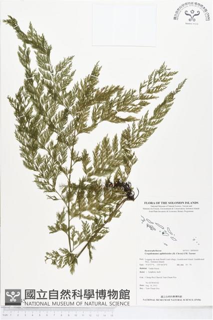 登錄號:BP00045藏品圖，第1張