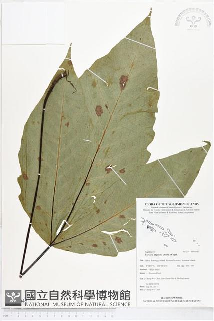 登錄號:BP01045藏品圖，第1張