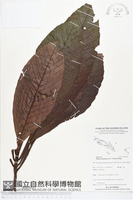 登錄號:BS05045藏品圖，第1張