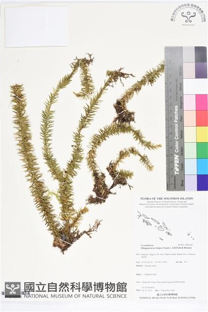 登錄號:BP02645藏品圖，第1張