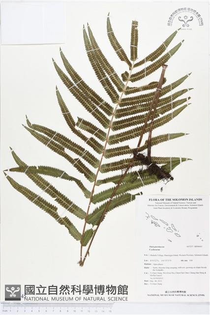 登錄號:BP00645藏品圖，第1張