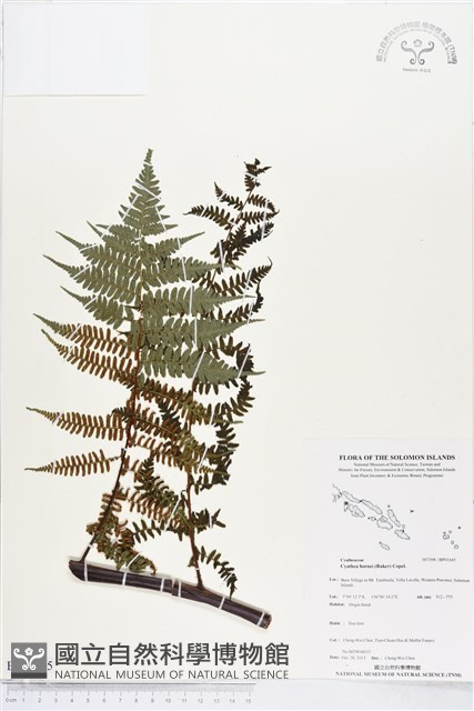 登錄號:BP01645藏品圖，第1張