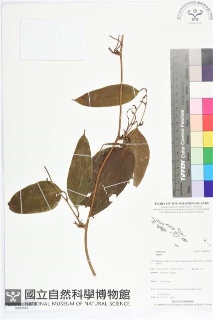 登錄號:BS05645藏品圖，第1張
