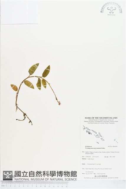 登錄號:BS03645藏品圖，第1張