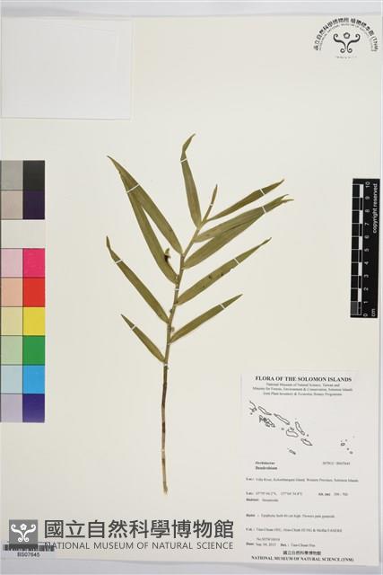 登錄號:BS07645藏品圖，第1張