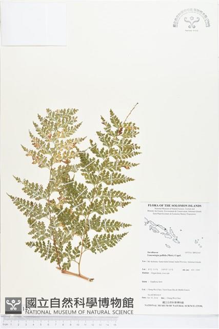 登錄號:BP02145藏品圖，第1張