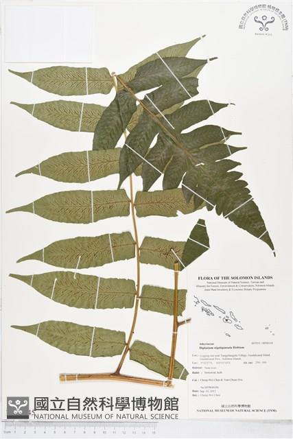 登錄號:BP00145藏品圖，第1張