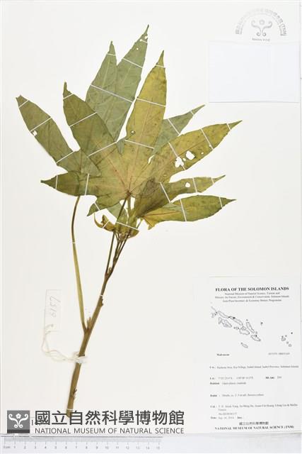 登錄號:BS05145藏品圖，第1張