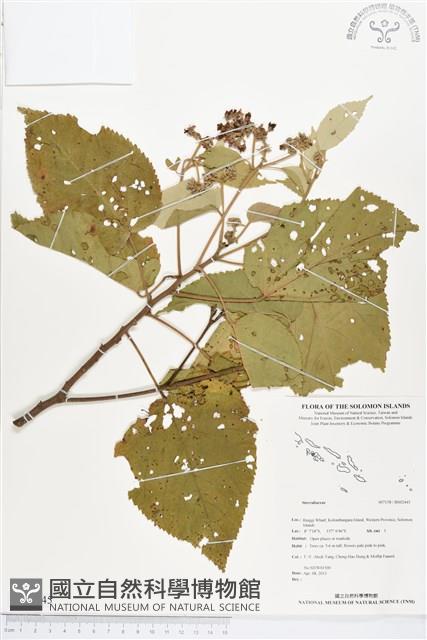 登錄號:BS02445藏品圖，第1張