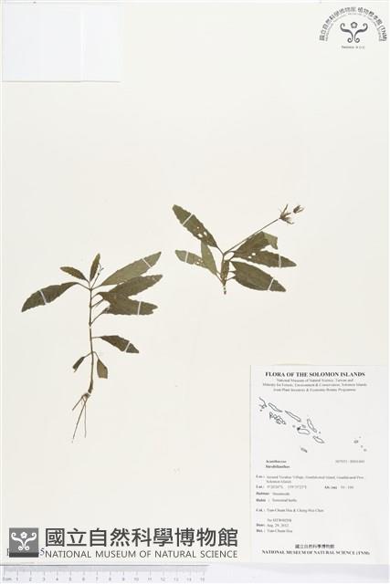 登錄號:BS01445藏品圖，第1張