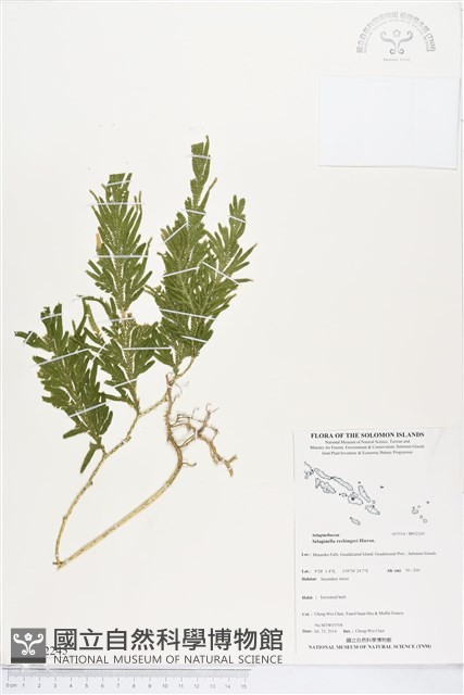 登錄號:BP02245藏品圖，第1張