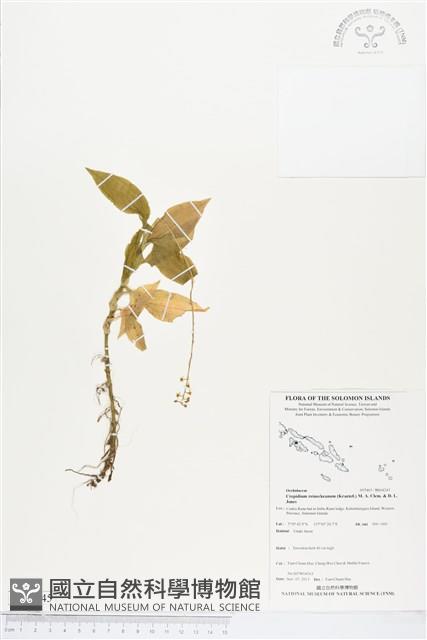 登錄號:BS04245藏品圖，第1張