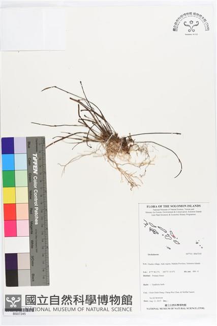 登錄號:BS07245藏品圖，第1張