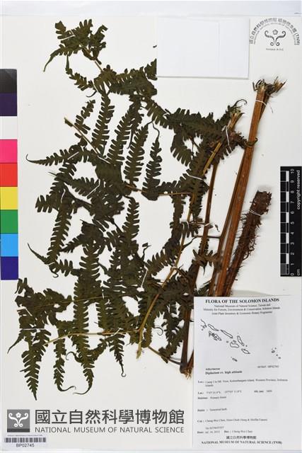 登錄號:BP02745藏品圖，第1張