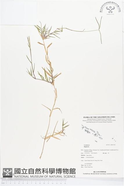 登錄號:BS01545藏品圖，第1張