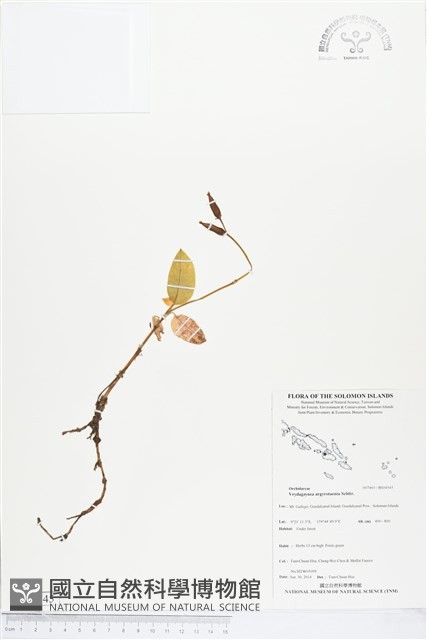 登錄號:BS04545藏品圖，第1張