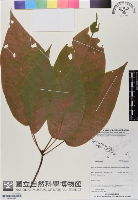 登錄號:BS06945藏品圖，第1張