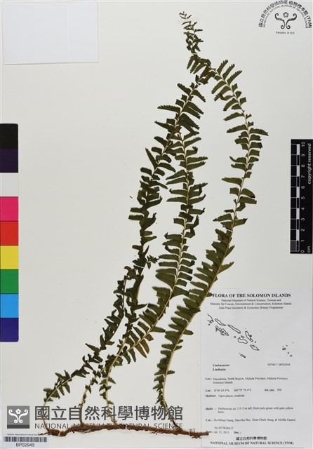 登錄號:BP02945藏品圖，第1張