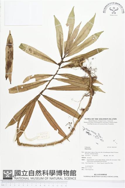 登錄號:BS01945藏品圖，第1張