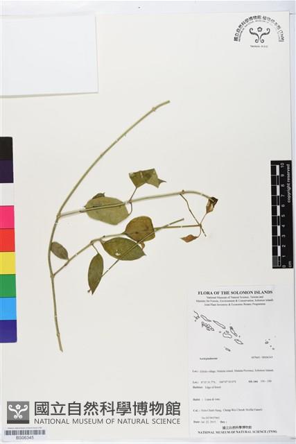 登錄號:BS06345藏品圖，第1張