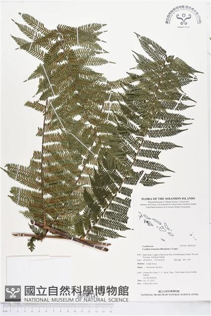 登錄號:BP00345藏品圖，第1張