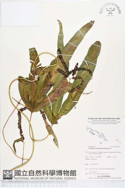 登錄號:BP01345藏品圖，第1張