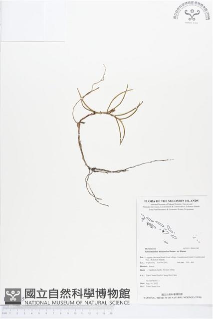 登錄號:BS01345藏品圖，第1張