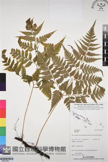 Accession Number:BP03345 Collection Image