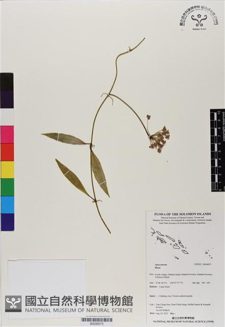 登錄號:BS06875藏品圖，第1張