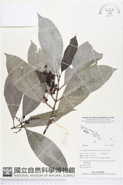 登錄號:BS02875藏品圖，第1張