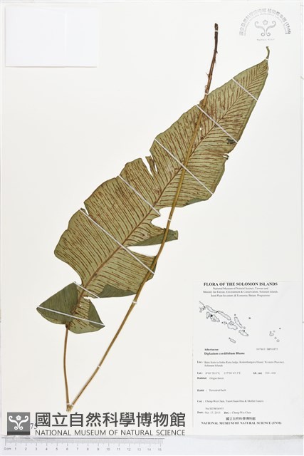 登錄號:BP01875藏品圖，第1張
