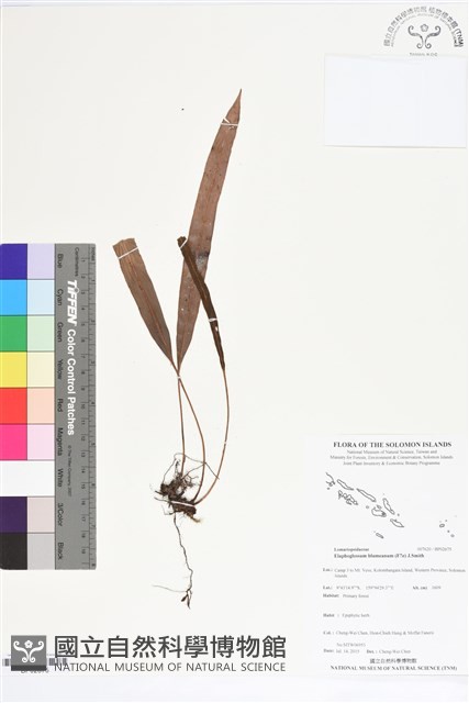 登錄號:BP02675藏品圖，第1張