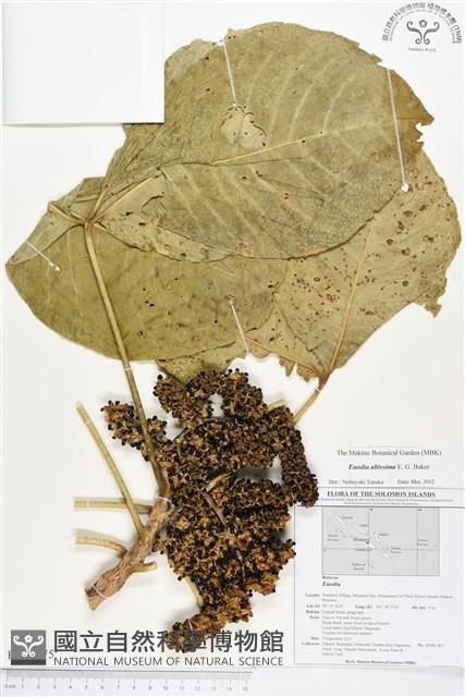 登錄號:BS01675藏品圖，第1張