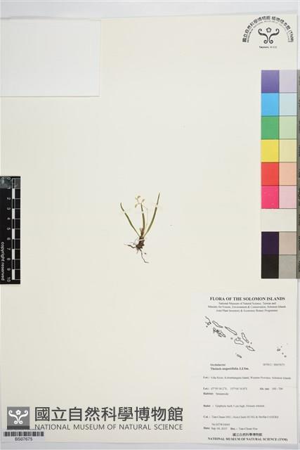 登錄號:BS07675藏品圖，第1張