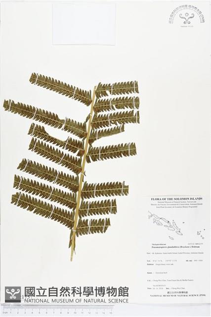 登錄號:BP02175藏品圖，第1張