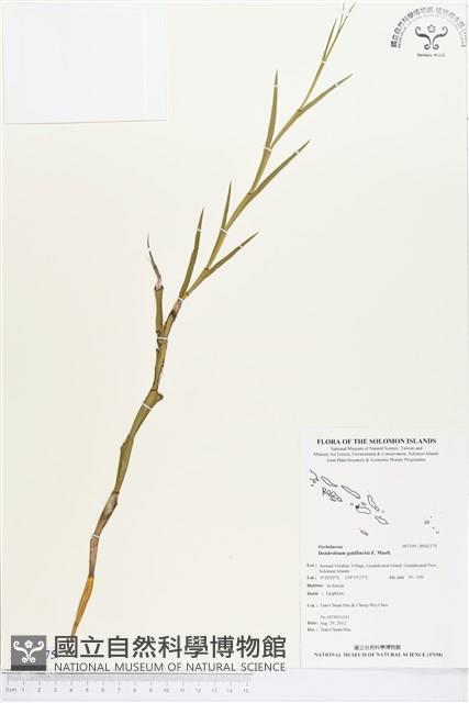 登錄號:BS02175藏品圖，第1張