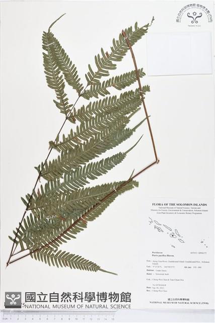 登錄號:BP00175藏品圖，第1張