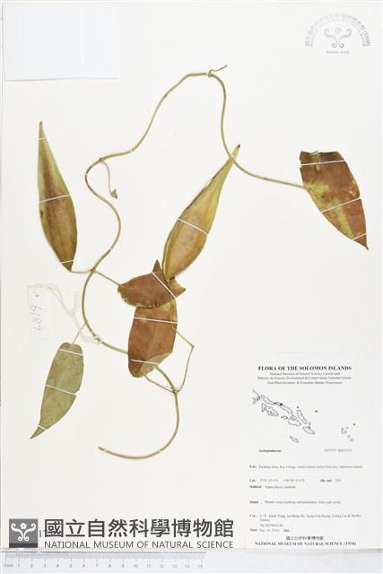 登錄號:BS05175藏品圖，第1張