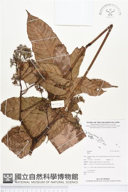 登錄號:BS02475藏品圖，第1張