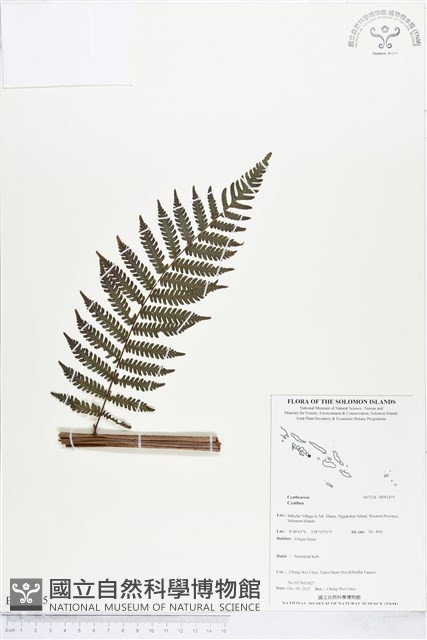 登錄號:BP01475藏品圖，第1張