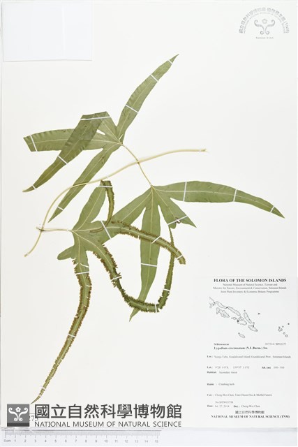 登錄號:BP02275藏品圖，第1張