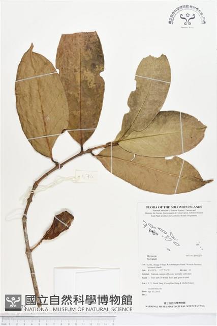 登錄號:BS02275藏品圖，第1張