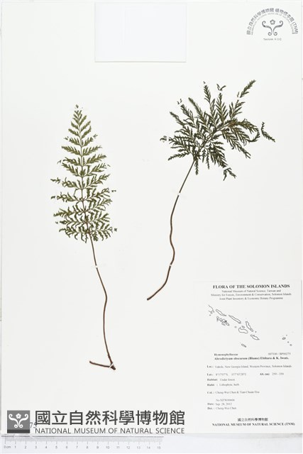 登錄號:BP00275藏品圖，第1張