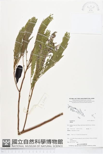 登錄號:BS05275藏品圖，第1張