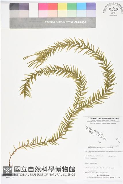 登錄號:BP02775藏品圖，第1張